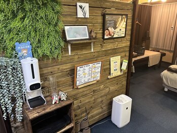 オリーブ 新所沢店(Olive)/店頭の雰囲気