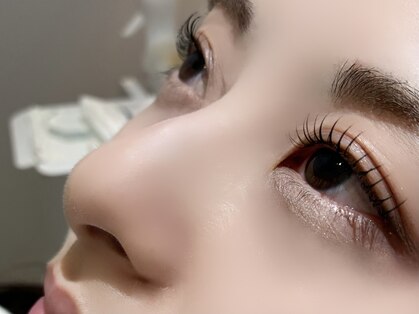 トトルナ(totoluna)の写真