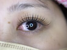 ソル アイラッシュ(sol eyelash)