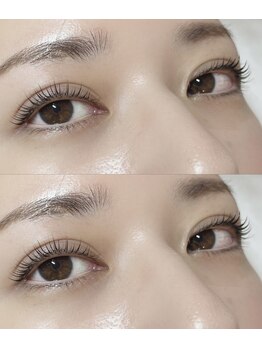 アイラッシュプラン リノ(eyelash plan RINO)/韓国風パーマ