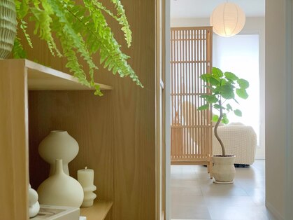 キコ(KIKO)の写真