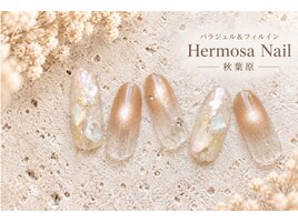 シェル　マグネット