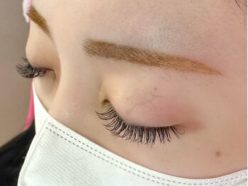 モモ(Momo)/シングル付け放題ライト