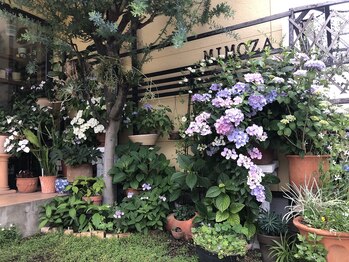 みもざ治療院/
