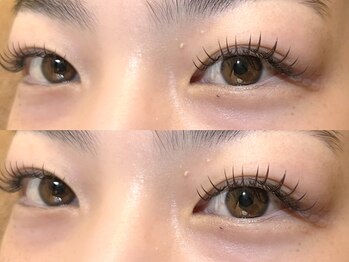 ハウカ(HAUKA)/ブラウンフラットラッシュ140本