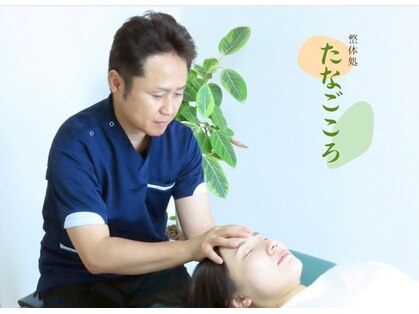 たなごころの写真