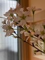 ふあり/ふあり