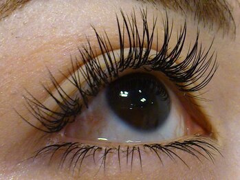 ルビジュー(le bijou)/国産セーブル使用!