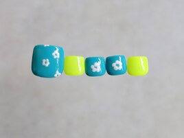 C-12フットプラチナ定額