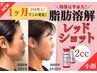顔｜レッドショット｜メスなし脂肪にアプローチ｜2cc導入45分|効果は半永久！