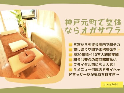 整体オガサワラの写真