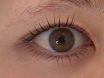 ハラン(haran)の写真/目の左右差で悩んでいませんか？一重や奥二重さんも必見！種類豊富なロットで自分に似合う美しいまつ毛に◎