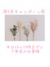 平日10～17まで【フラットラッシュ】120本♪初回オフ無料◆LED変更可