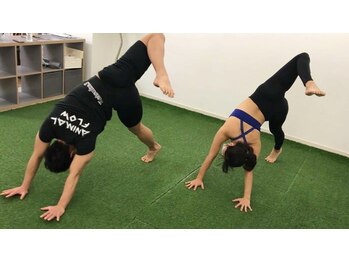 ゴーフィールド フィットネス 都立大学店(Go.Field Fitness)/アニマルフロー (Animal Flow)