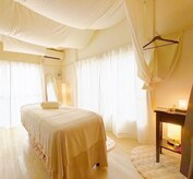 ジプソフィラ(Gypsophila)