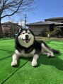 ラ ピラティス 久留米店(La pilates) 愛犬との時間が癒しです(*^^*)