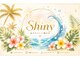 シャイニー(Shiny)の写真