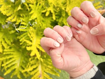 クレー(Klee)/マグネットワンカラー