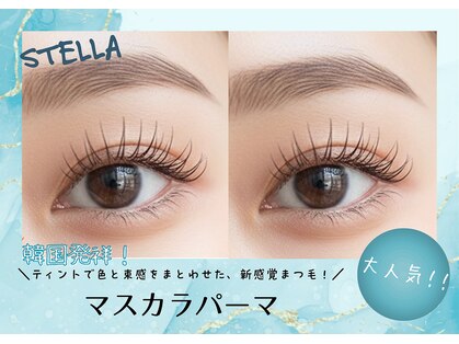 ステラ(STELLA)の写真