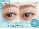 ステラ(STELLA)の写真