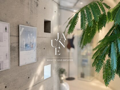 ジョーヌ(JAUNE)の写真