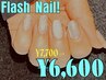 新規:フラッシュネイル・マグネットネイル10本