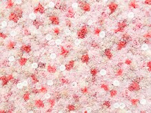 リンク(Link)/睡眠トラブル