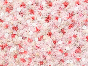 リンク(Link)/睡眠トラブル