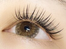 チッパー(CHIPPEr)/セーブル140本