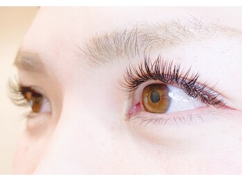 ループ(LOOP)/フラットラッシュ160本