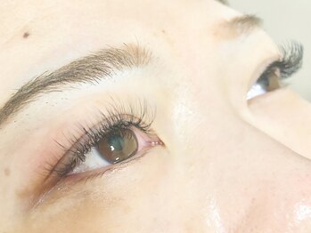 エイチアンドコー(H&Co.)/ボリュームラッシュ　120束