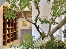 エマクラン(emmaclan)の雰囲気（entrance）