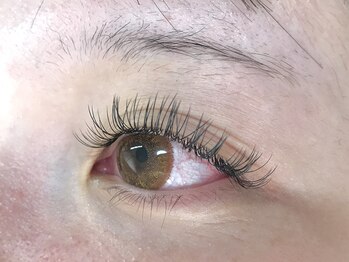 ルプリュシュ ルフレ(Le plus reflet)/3Dボリュームラッシュ