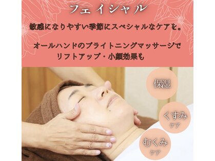 マナ(mana)の写真