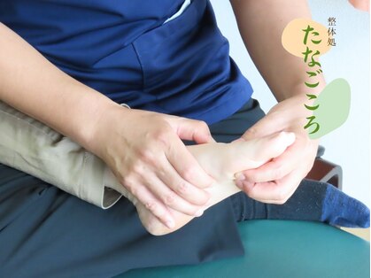 たなごころの写真