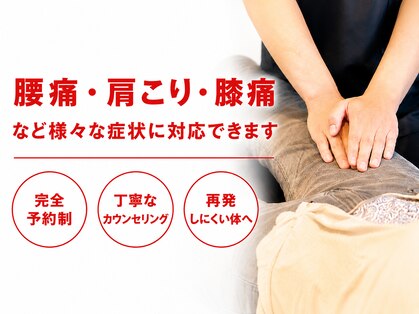 フィット(fit)の写真