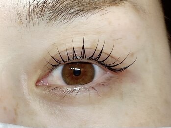 ホーリーグレイル(holy grail)/