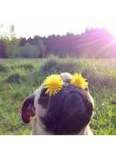 ナテュール(Nature)/おめめパッチリ♪