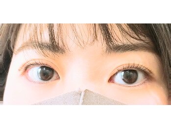 ティーラッシュ(T lash)/ケラチンラッシュリフト