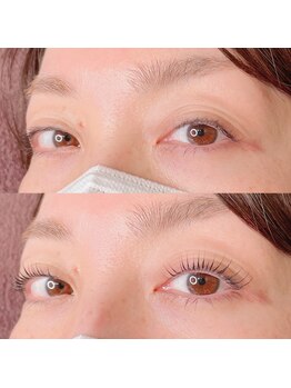 シピリカ(Shiprica.)/