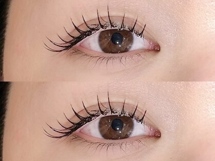 フリルビューティー(Frill beauty)の写真