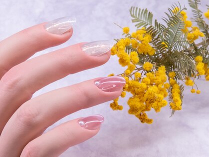 マルディ(Mardi)の写真