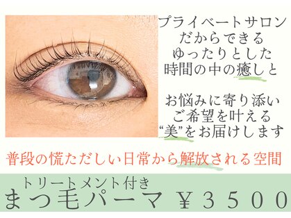 クローバーの写真