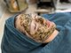 サロンサイ(salonsai)の写真/毛穴の黒ずみ・開き・ざらつきに◎なめらかで艶のある素肌を目指す大人の毛穴ケア