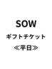 【平日限定】SOW エクスペリエンスチケット商品ID＜537＞＜1387＞※番号必須