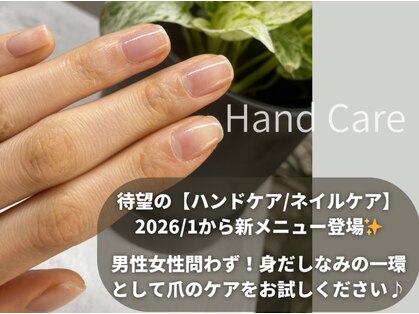 エム 平岸(M)の写真