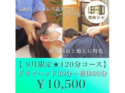 整体リードの写真
