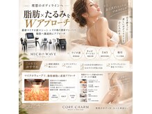 コア チャーム(CORE CHARM)の雰囲気（最新マイクロ波！脂肪分解燃焼促進♪マシンの組み合わせも）