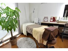 フェリシア(felicia)/