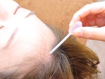 美しき森/髪にハリとボリュームを